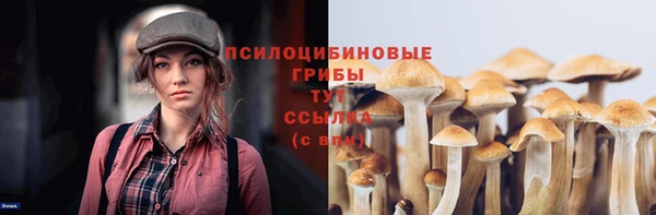 прущие грибы Бугульма
