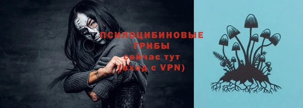 прущие грибы Бугульма