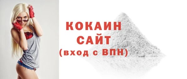хмурый Бородино