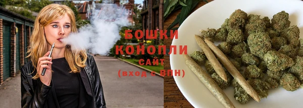 хмурый Бородино