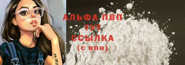 хмурый Бородино