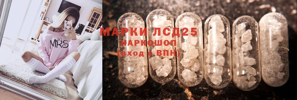 прущие грибы Бугульма