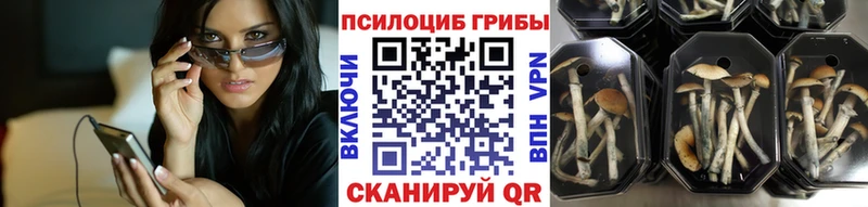 купить закладку  Голицыно  Псилоцибиновые грибы прущие грибы 